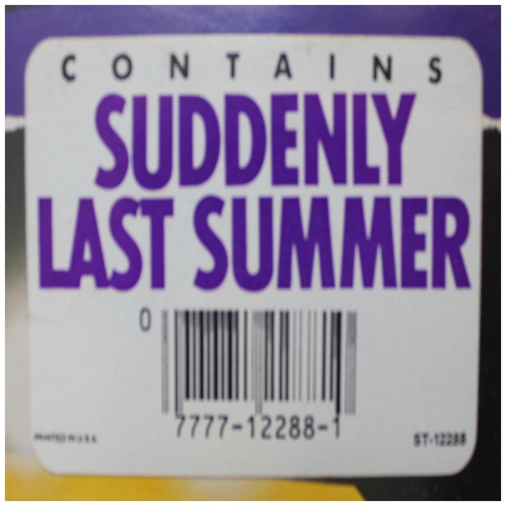 MOTELS - LITTLE ROBERTS | VINILO USADO