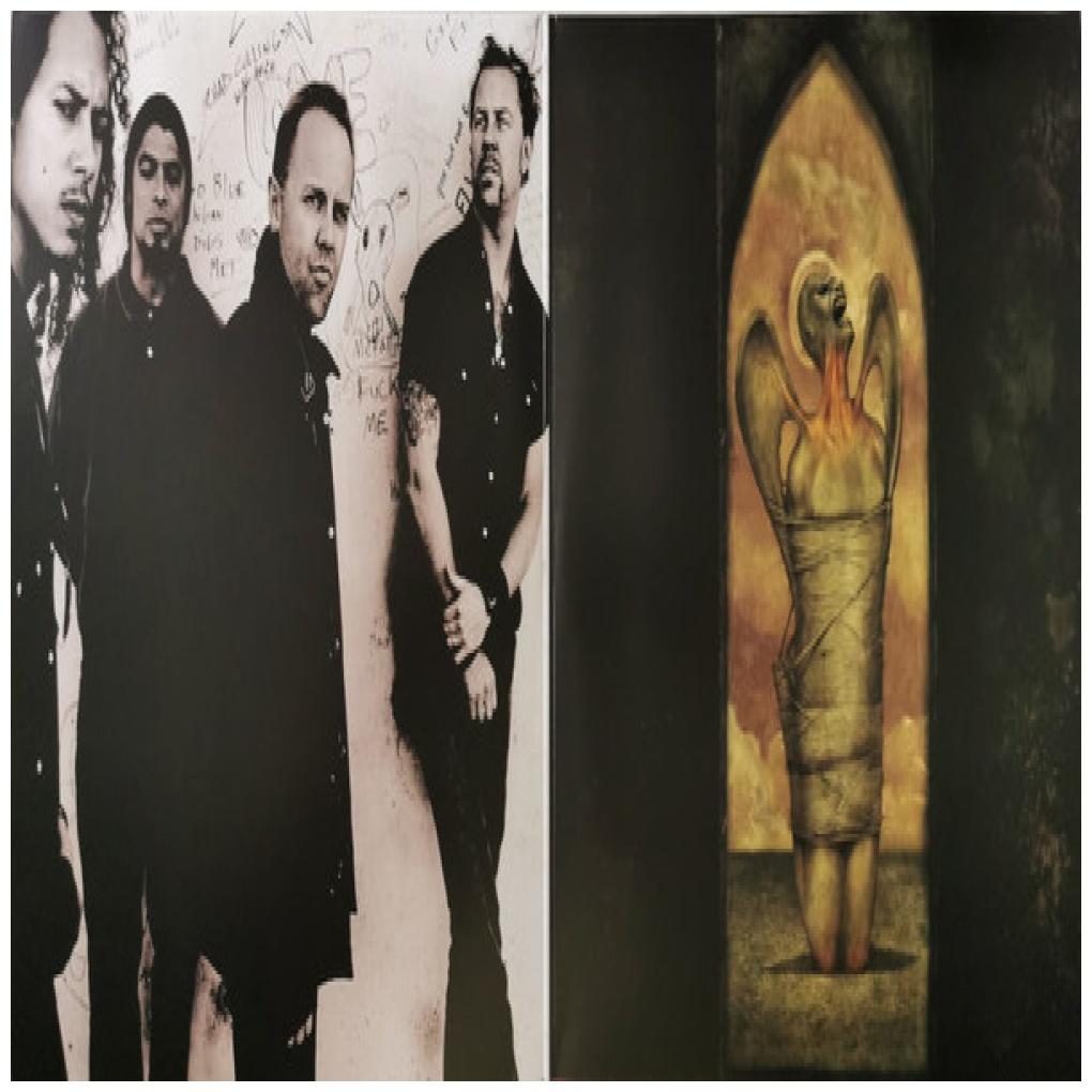 METALLICA  - ST. ANGER (2LP) | VINILO