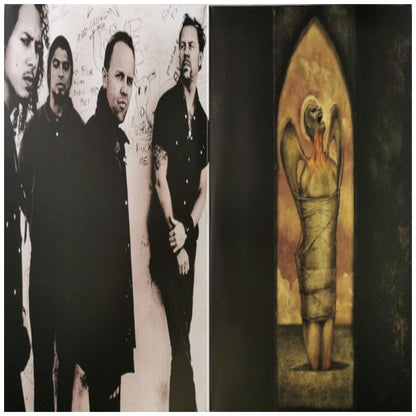 METALLICA  - ST. ANGER (2LP) | VINILO