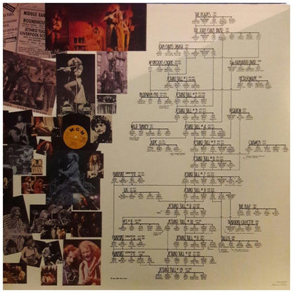 JETHRO TULL - 20 YEARS OF JETHRO TULL (2LP) | VINILO USADO