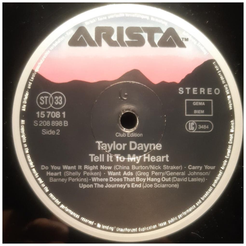 TAYLOR DAYNE - TELL IT TO MY HEART | VINILO USADO
