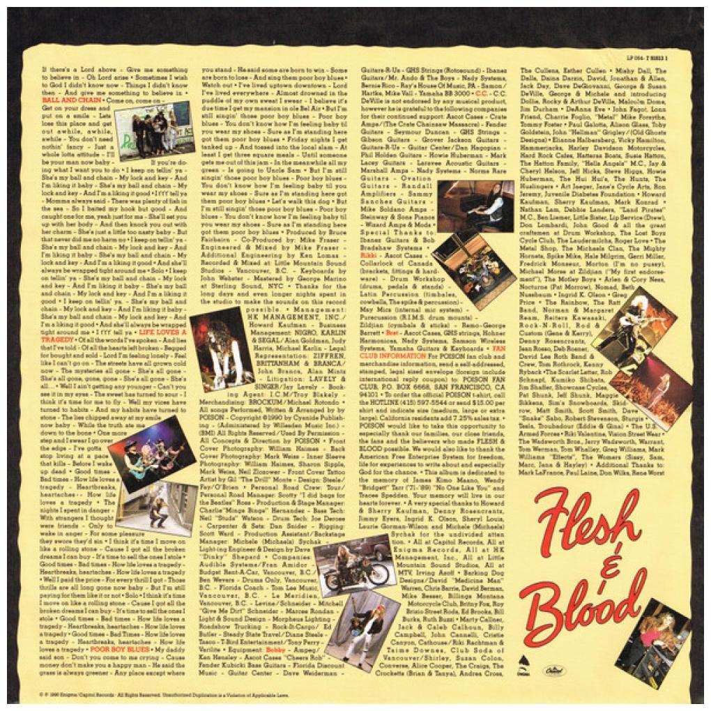 POISON - FLESH & BLOOD | VINILO USADO