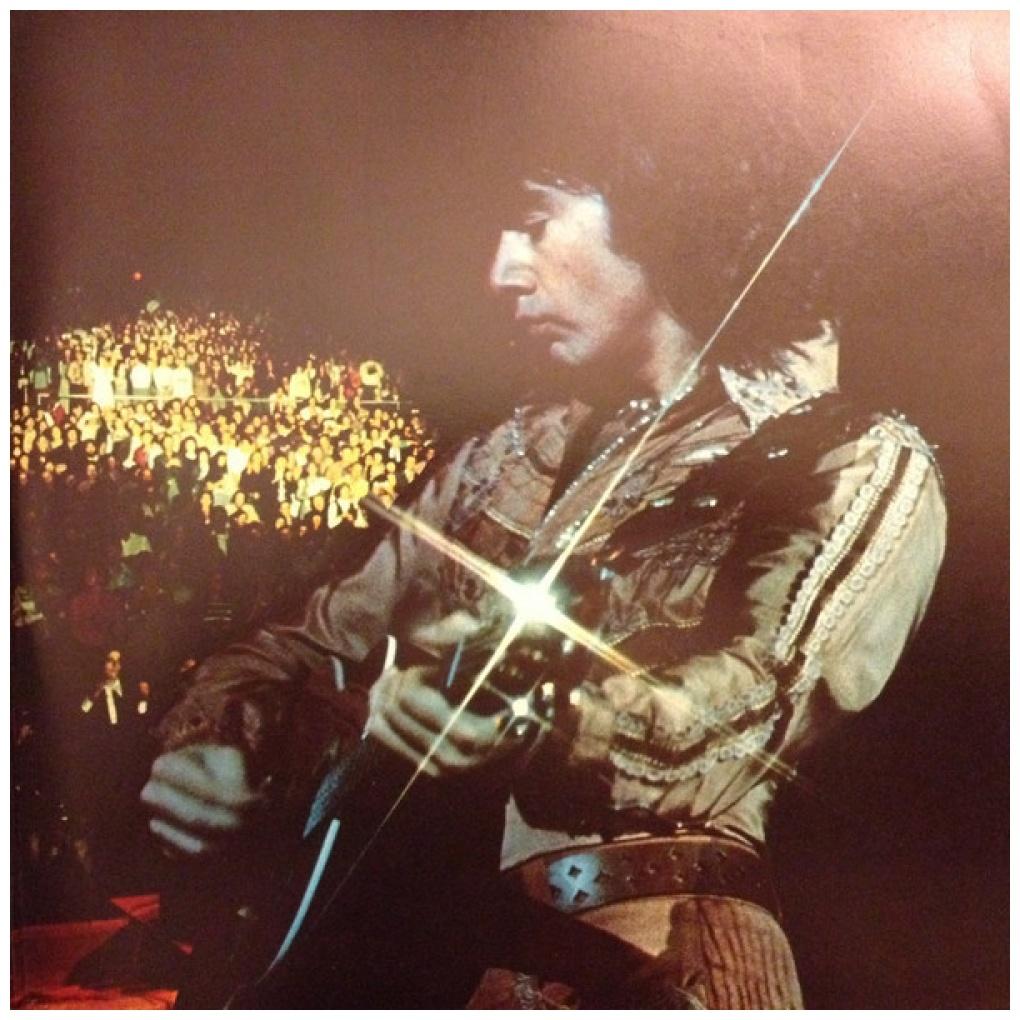 NEIL DIAMOND - HOT AUGUST NIGHT (2LP) | VINILO USADO