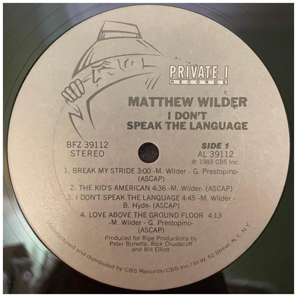 MATHEW WILDER - I DON'T SPEAK THE LANGUAGE (PROMO COPY) | VINILO USADO