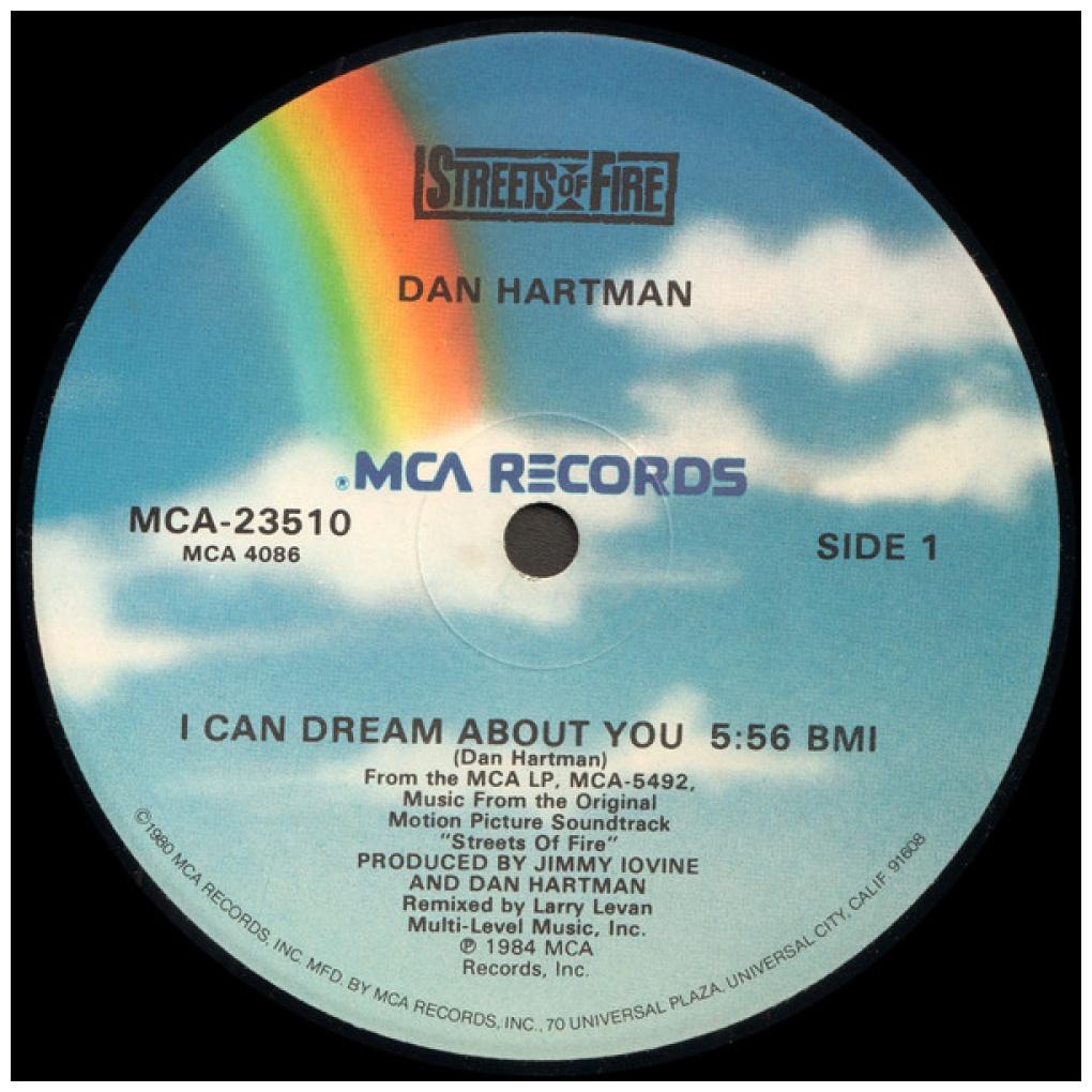 DAN HARTMAN - I CAN DREAM ABOUT YOU (PROMO COPY) | 12'' MAXI SINGLE USADO