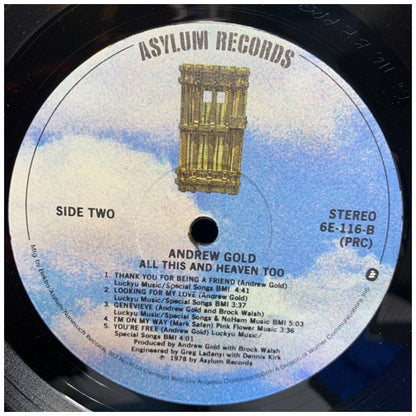 ANDREW GOLD - ALLTHIS AND HEAVEN TOO | VINILO USADO
