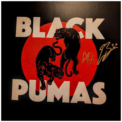 BLACK PUMAS - BLACK PUMAS | VINILO