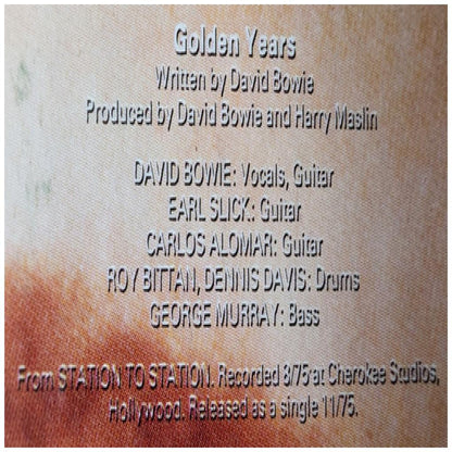 DAVID BOWIE - CHANGESBOWIE (2LP) | VINILO USADO