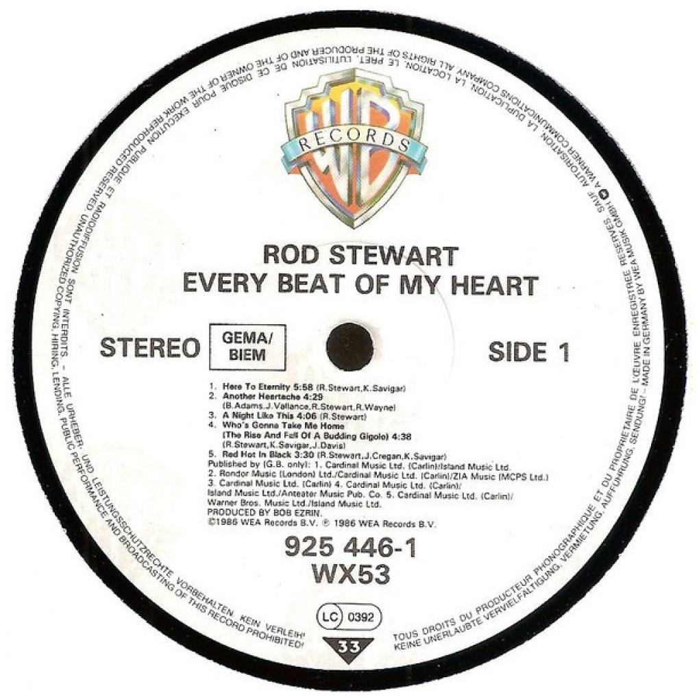 ROD STEWARD - ROD STEWARD | VINILO USADO