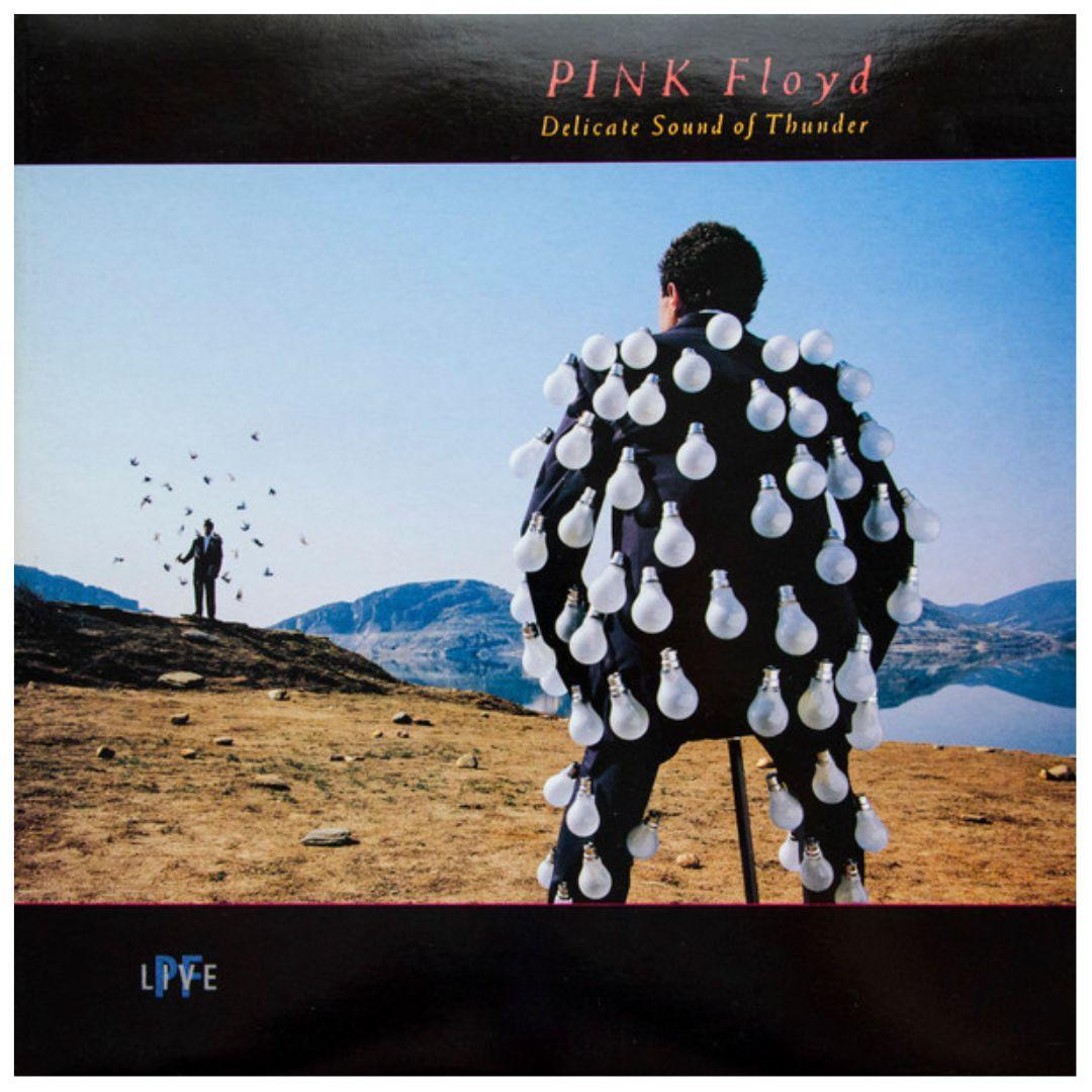 PINK FLOYD - DELICATE SOUND OF A THUNDER (2LP) | VINILO