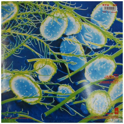 SOUP DRAGONS - I'M FREE | 12'' MAXI SINGLE USADO