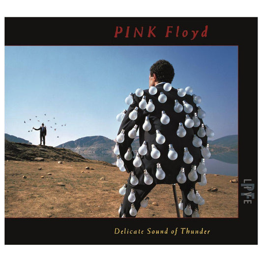 PINK FLOYD - DELICATE SOUND OF THUNDER