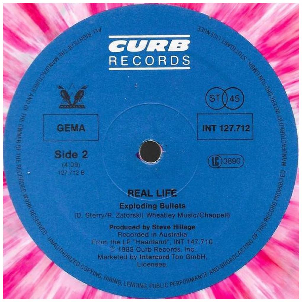 REAL LIFE - CATCH ME AN FALLING (PLATTE IN MEHRFARBIGEM VINYL) | 12'' MAXI SINGLE USADO
