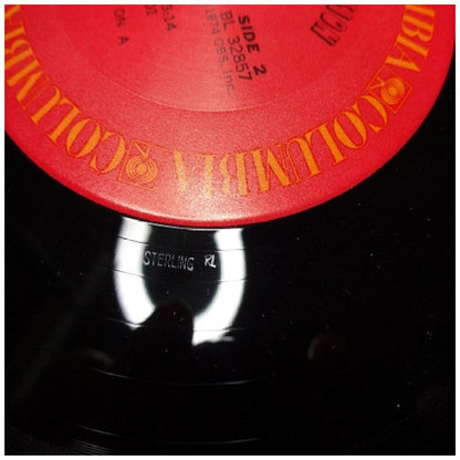 JANIS IAN - STARS | VINILO USADO