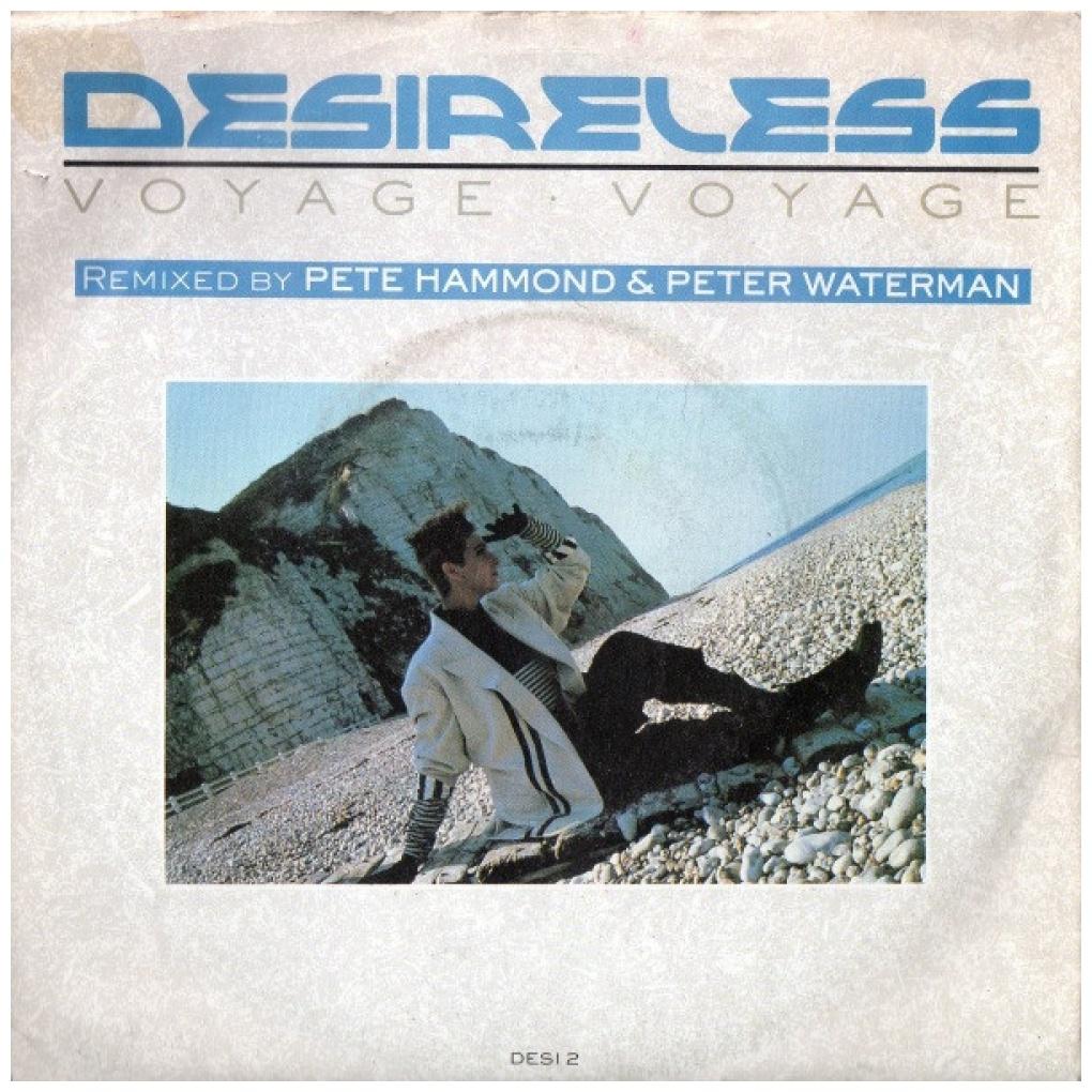 DESIRELLES - VOYAGE, VOYAGE (REMIXED) | 7" SINGLE USADO