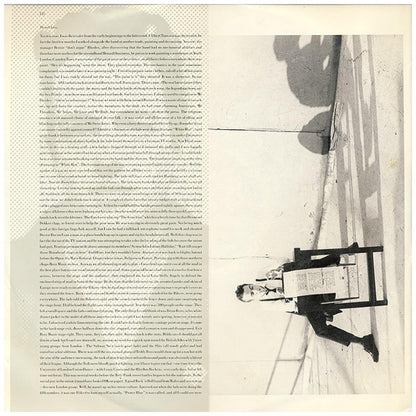 THE CLASH - THE STORY OF (2LP) | VINILO USADO