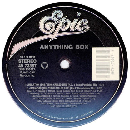 ANYTHING BOX - JUBILATION (THIS THING CALLED LIFE) | 12'' MAXI SINGLE USADO