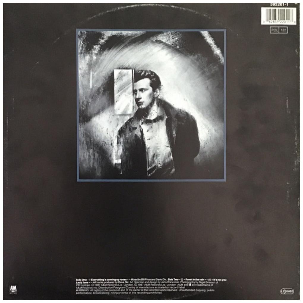BLACK - EVERYTHING'S COMING UP ROSES | 12'' MAXI SINGLE USADO