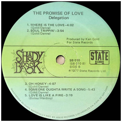 DELEGATION - THE PROMISE OF LOVE | VINILO USADO
