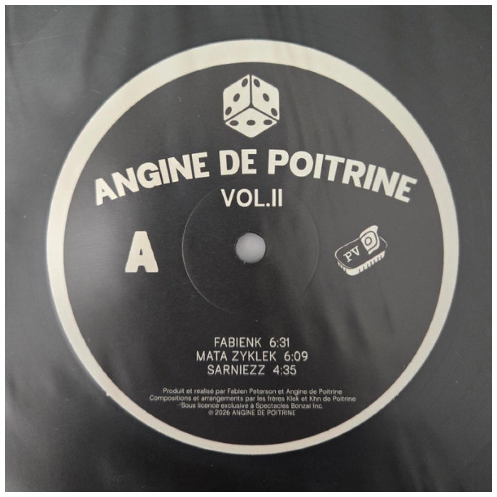 ANGINE DE POITRINE - VOL. II | VINILO
