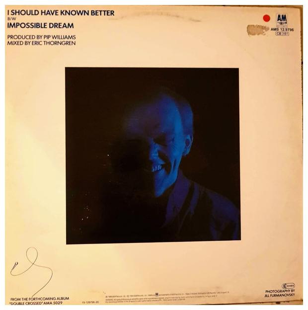 JIM DIAMOND - I SHOULD HAVE KNOWN BETTER | 12" MAXI SINGLE USADO