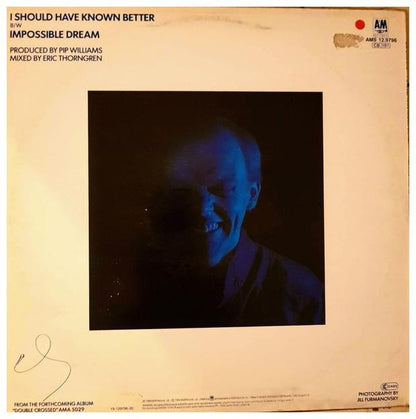 JIM DIAMOND - I SHOULD HAVE KNOWN BETTER | 12" MAXI SINGLE USADO