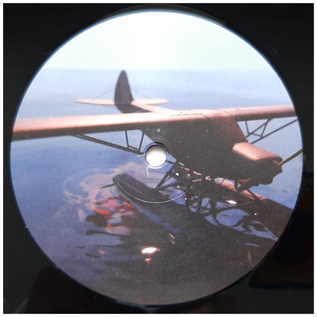 GORILLAZ - PLASTIC BEACH | VINILO