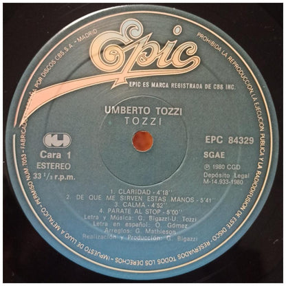 UMBERTO TOZZI - TOZZI: CANTA EN ESPAÑOL | VINILO USADO