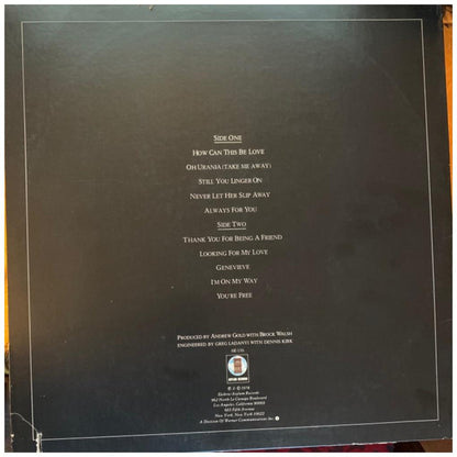 ANDREW GOLD - ALLTHIS AND HEAVEN TOO | VINILO USADO