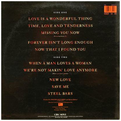 MICHAEL BOLTON - TIME, LOVE & TENDERNESS | VINILO USADO