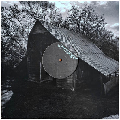 MITSKI - LAND IS INHOSPITABLE AND SO ARE WE | VINILO