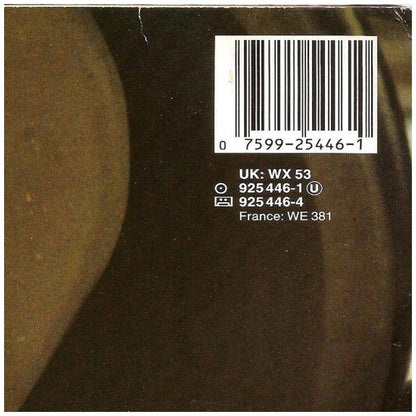 ROD STEWARD - ROD STEWARD | VINILO USADO