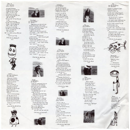 EDIE BRICKELL & THE NEW BOHEMIANS - SHOOTING RUBBERBANS AT THE STARS | VINILO USADO