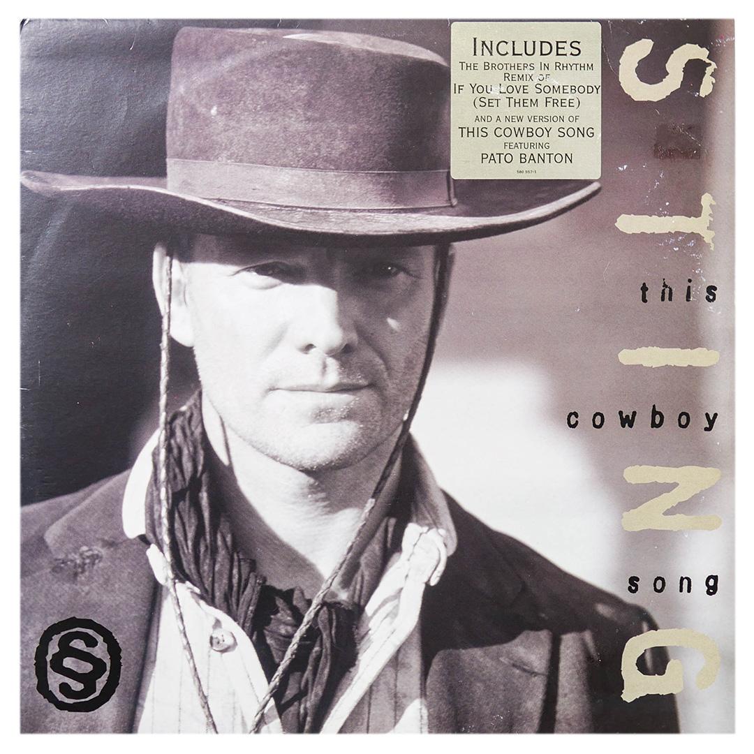 STING - IF YOU LOVE SOMEBODY (SET THEM FREE) | 12" MAXI SINGLE USADO