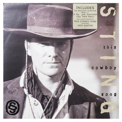 STING - IF YOU LOVE SOMEBODY (SET THEM FREE) | 12" MAXI SINGLE USADO