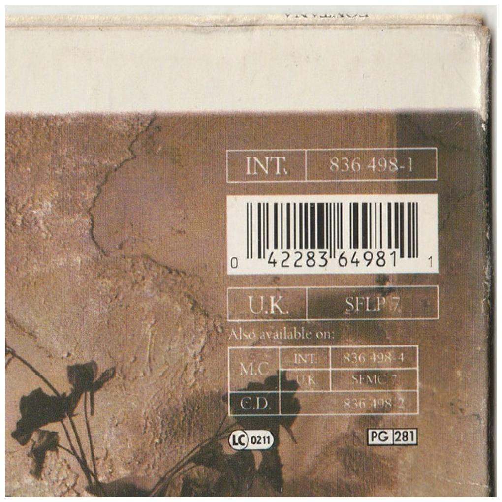 LOVE AND MONEY - STRANGE KING OF LOVE | VINILO USADO
