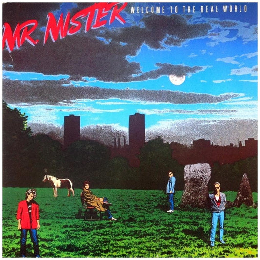 MR. MISTER - WELCOME TO THE REAL WORLD | VINILO USADO