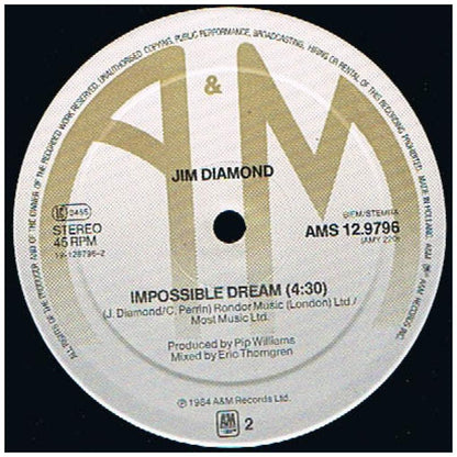 JIM DIAMOND - I SHOULD HAVE KNOWN BETTER | 12'' MAXI SINGLE USADO
