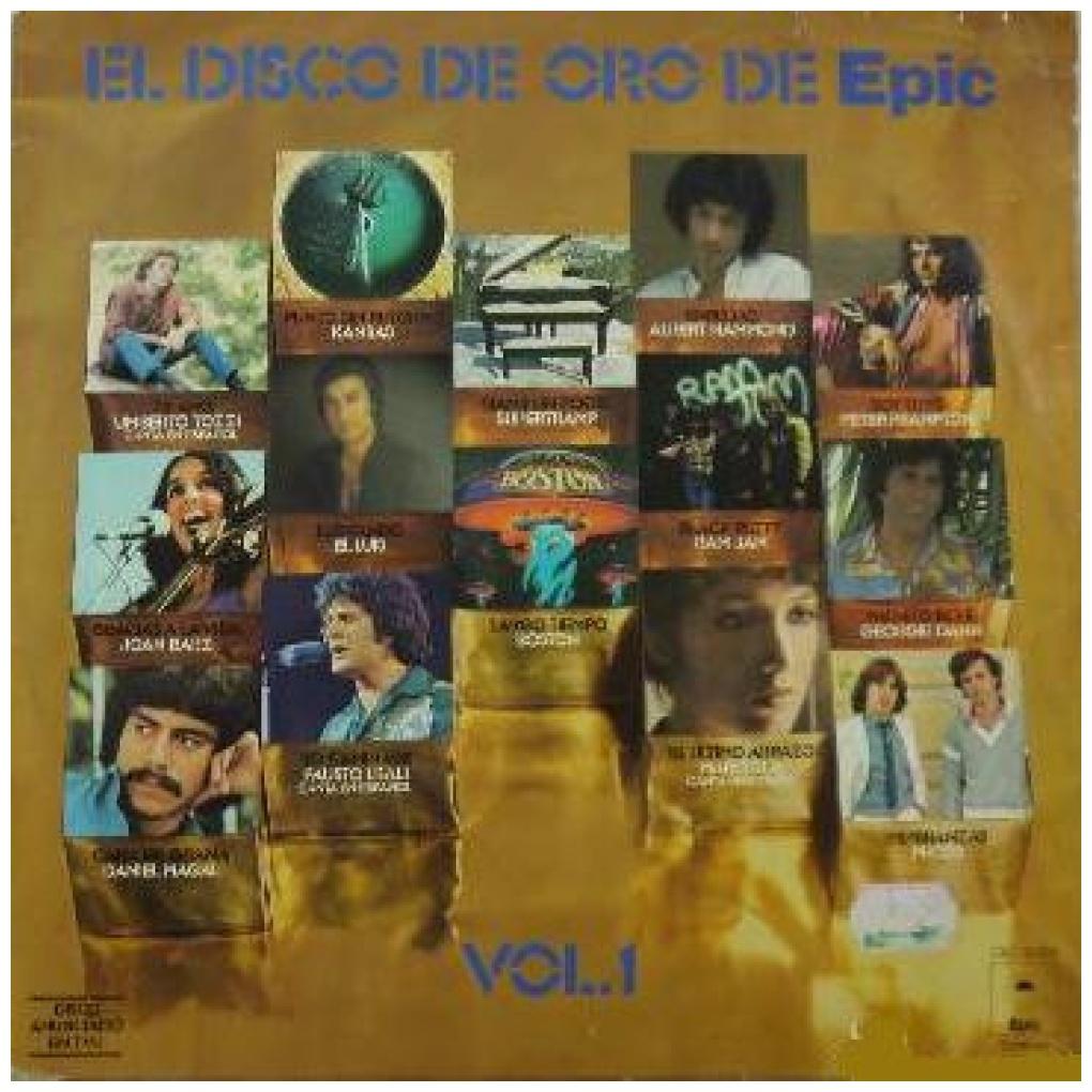 EL DISCO DE ORO DE EPIC - VARIOS ARTISTAS VOL.1 | VINILO USADO