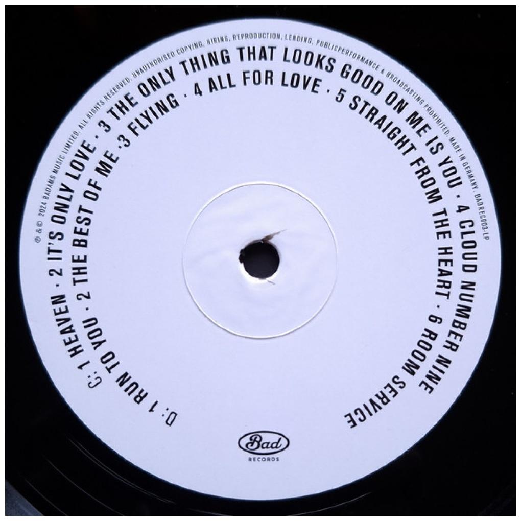 BRYAN ADAMS - LIVE IN LISBON (2LP) | VINILO
