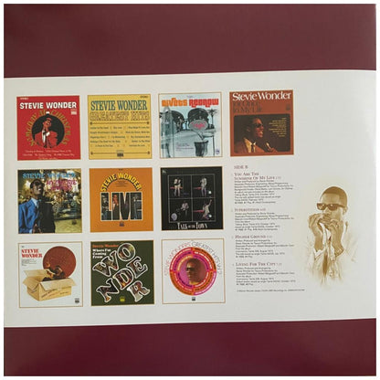 STEVIE WONDER - DEFINITIVE COLLECTION (2LP) | VINILO