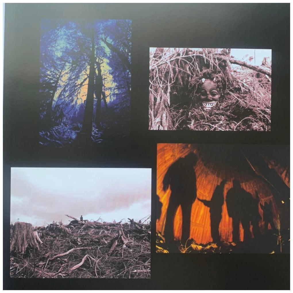 PEARL JAM - VS. (30TH ANNIVERSARY) | VINILO