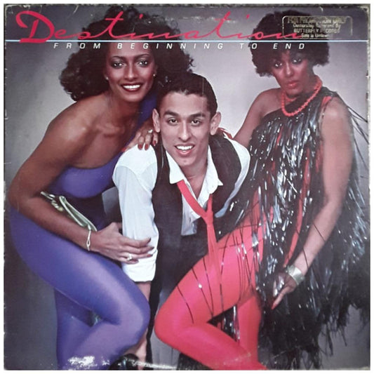 DESTINATION - FROM THE BEGINNING TO END | VINILO USADO