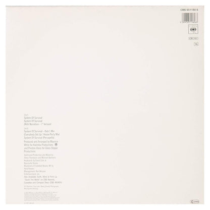 EARTH, WIND & FIRE - SYSTEM OF SURVIVAL | 12" MAXI SINGLE USADO