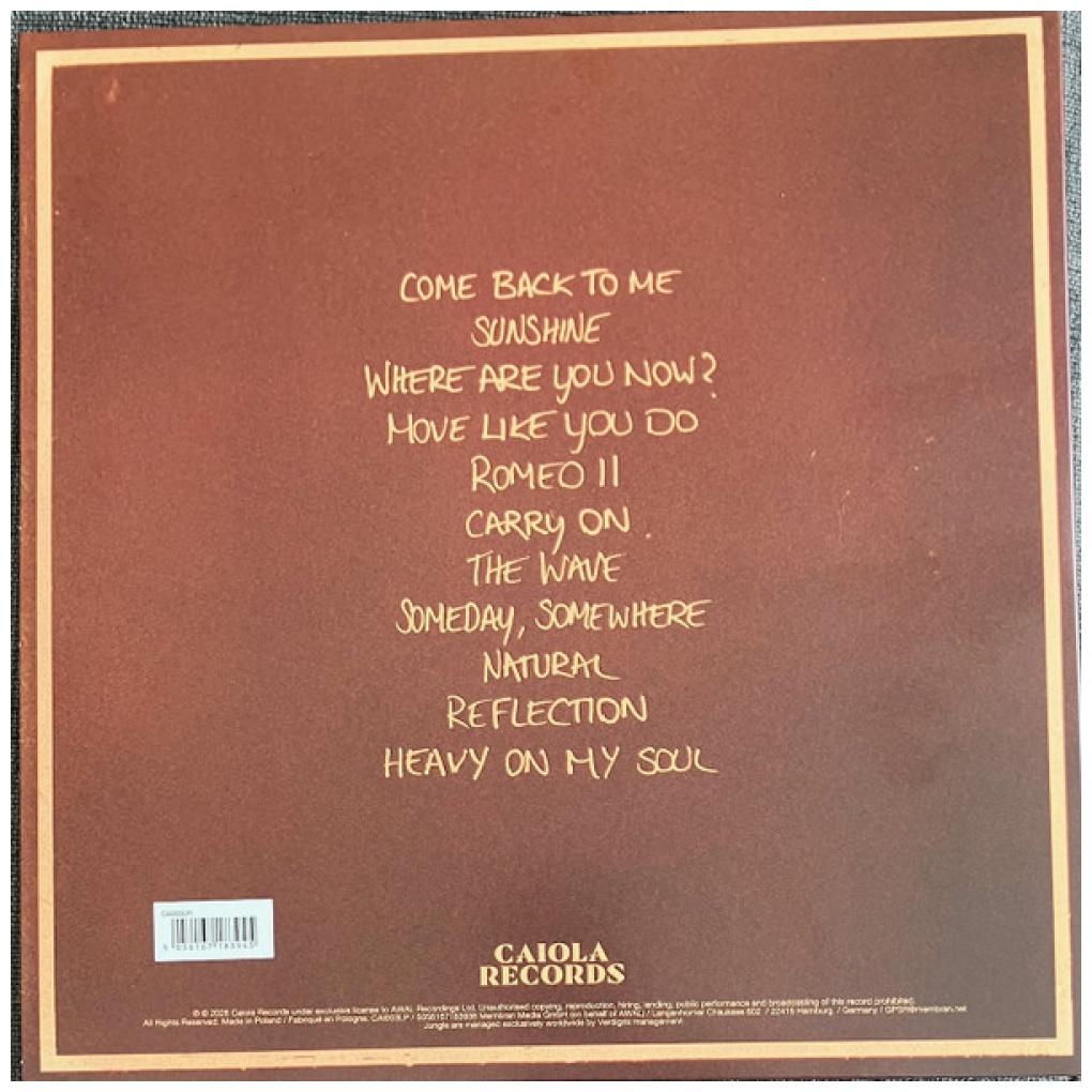 JUNGLE - SUNSHINE | VINILO