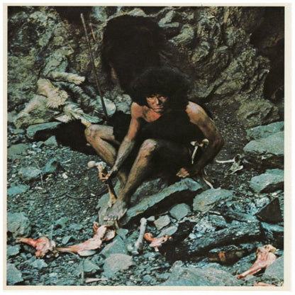 GRAND FUNK - SURVIVAL | VINILO USADO
