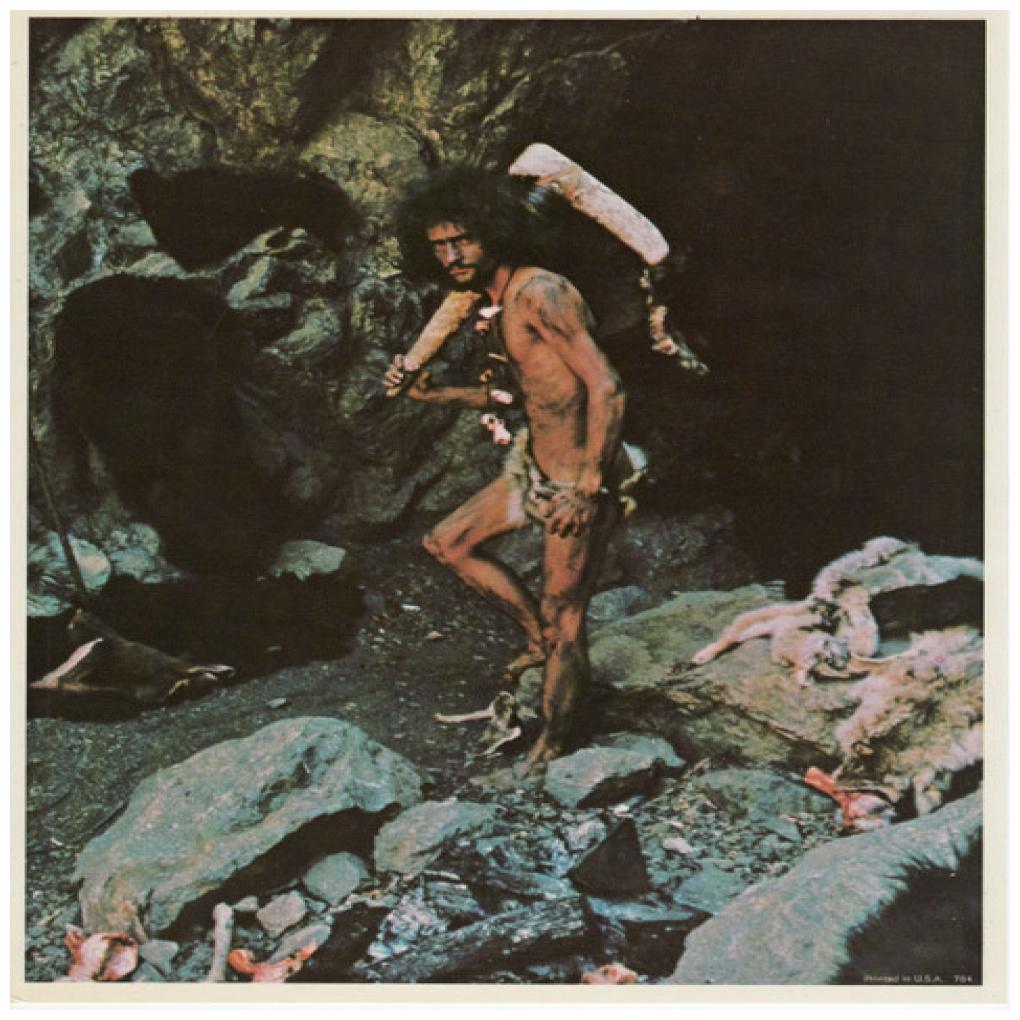GRAND FUNK - SURVIVAL | VINILO USADO