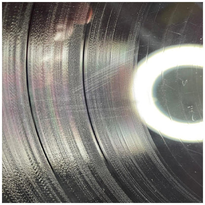 JANIS IAN - STARS | VINILO USADO
