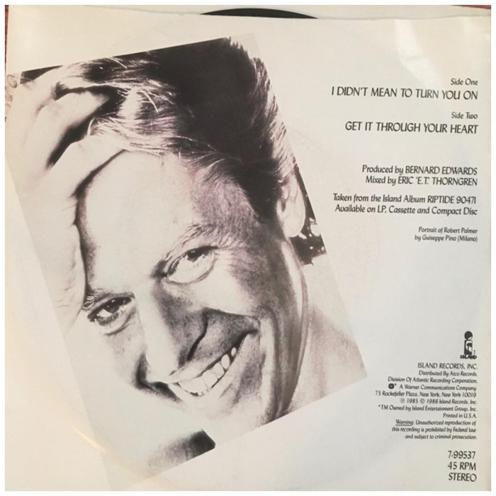 ROBERT PALMER - I DIDN'T MEAN TO TURN YOU ON | 7" SINGLE USADO