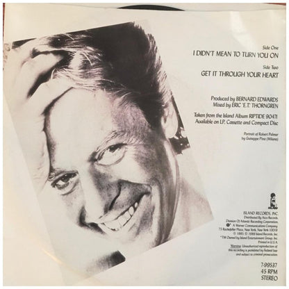 ROBERT PALMER - I DIDN'T MEAN TO TURN YOU ON | 7" SINGLE USADO